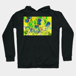 Dandelion blossom, abstract, macro shot, dandelion, flower Hoodie